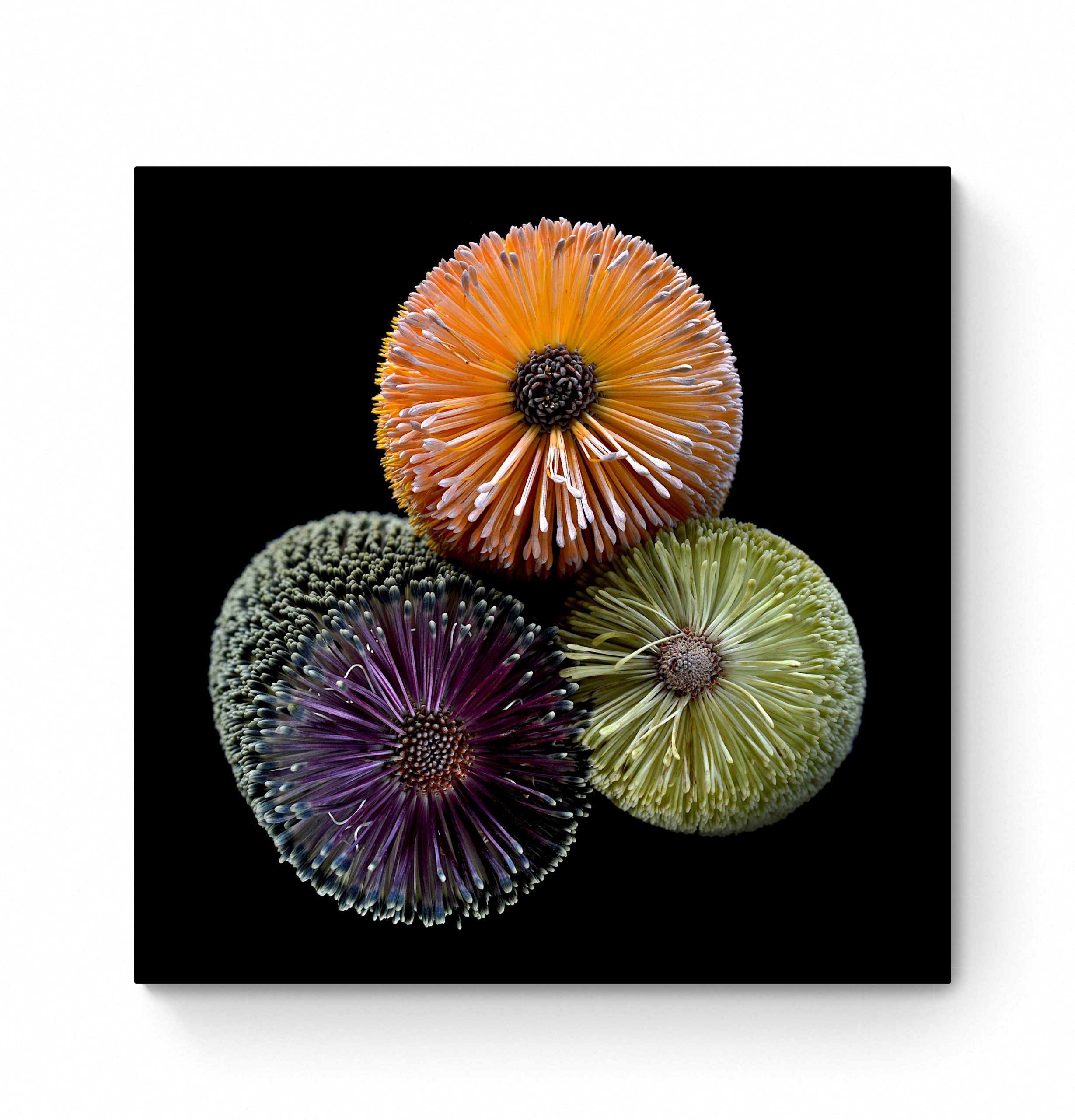 Clean And Simple Room (1)2