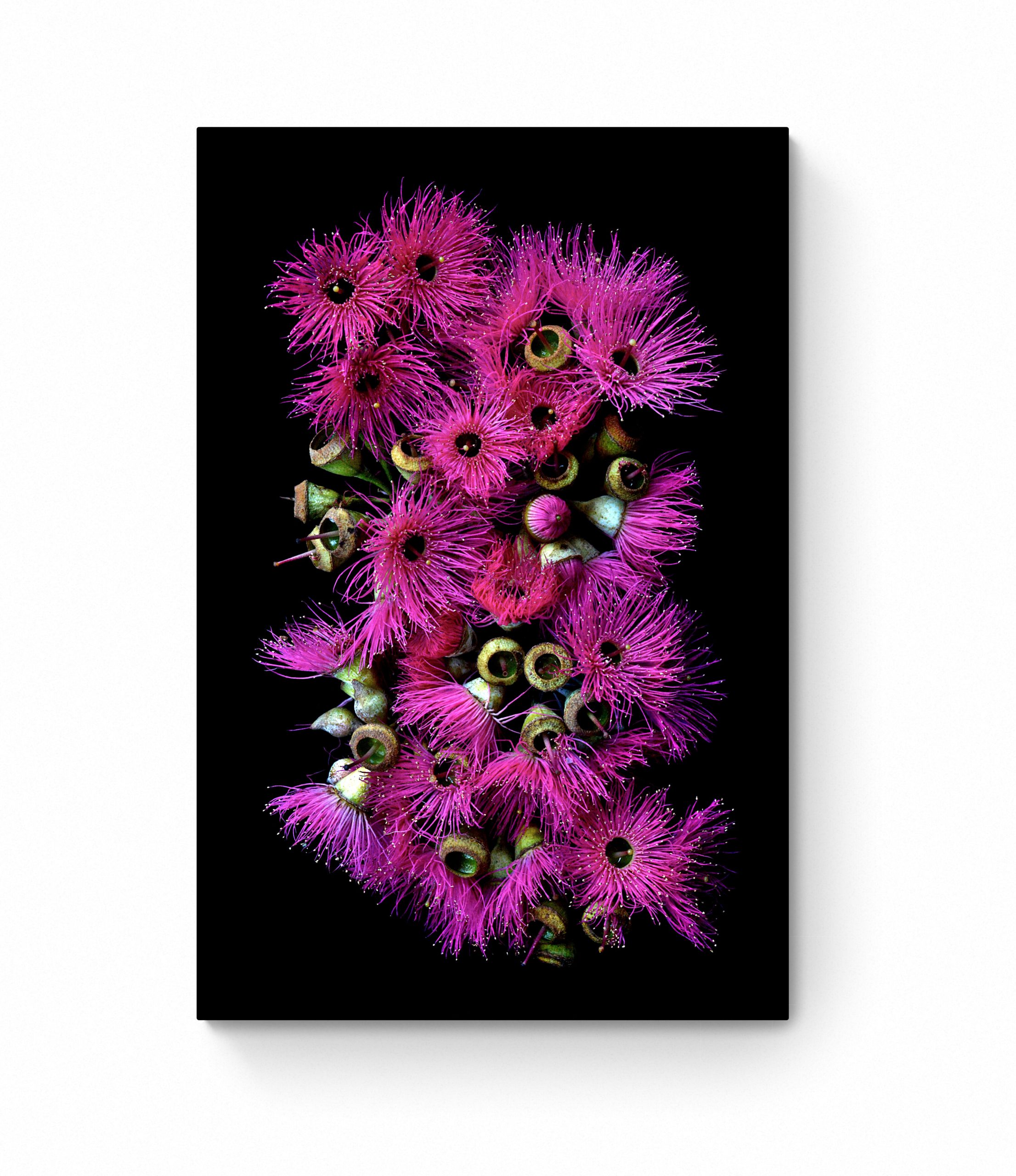 Clean And Simple Room (5)