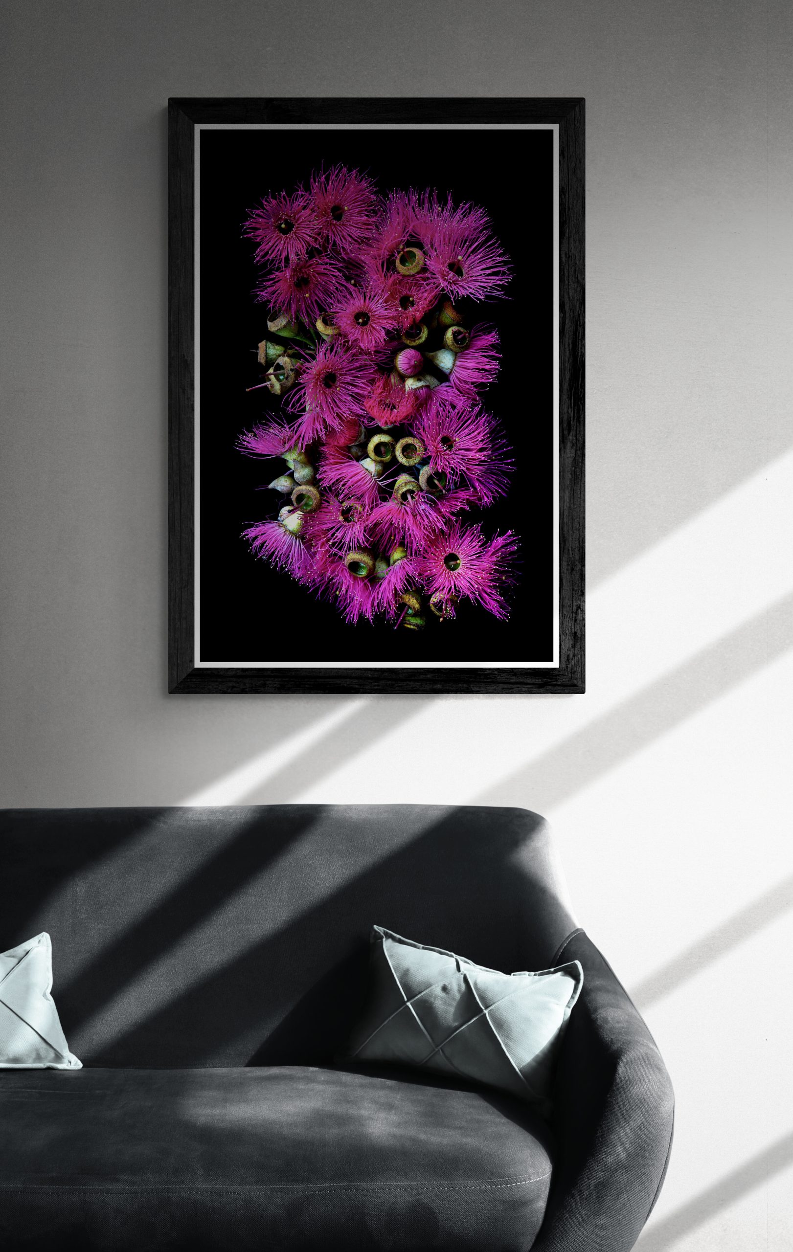 Comfy Sofa Illuminated In Natural Light