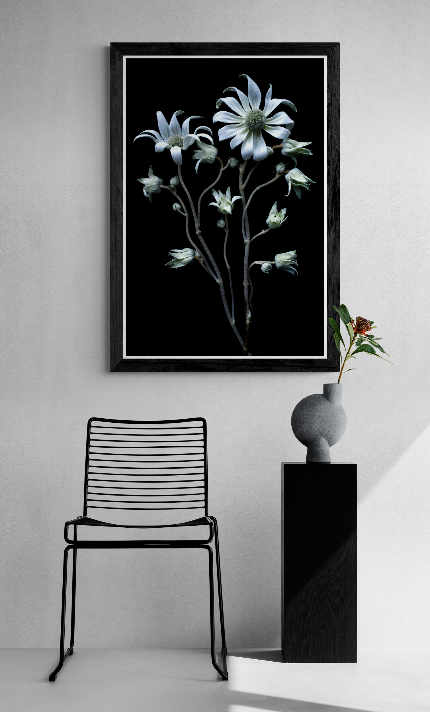 Black Wire Chair Next To Plant On Plinth