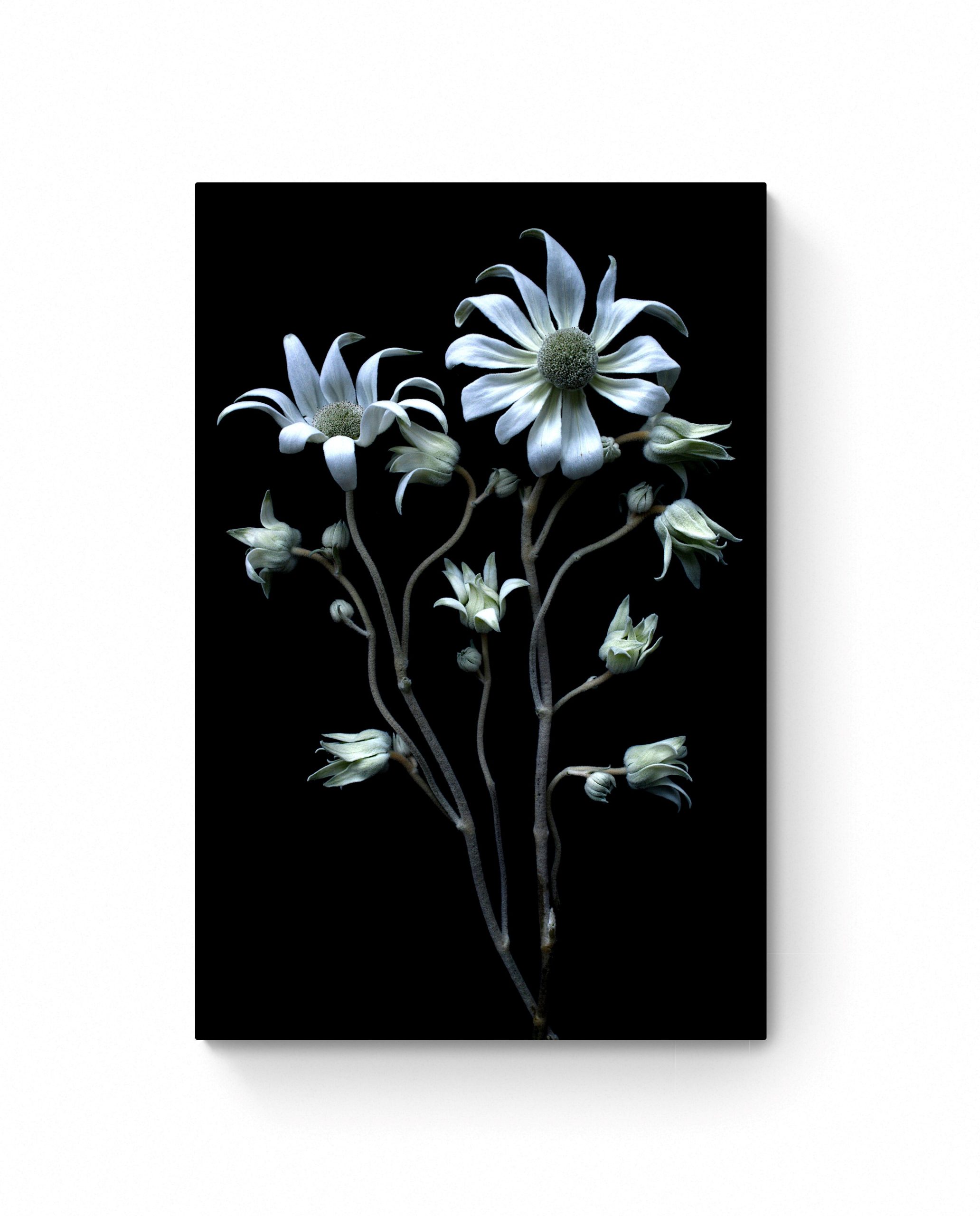 Clean And Simple Room (4)