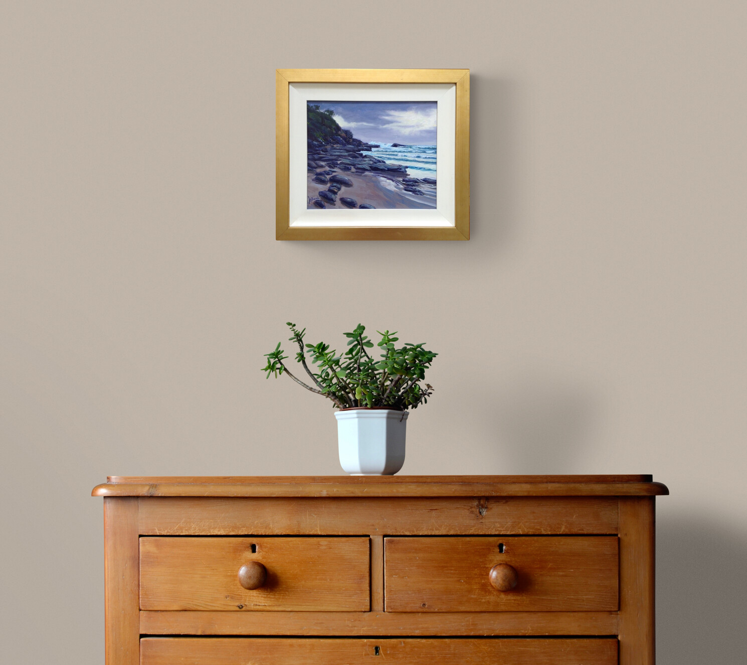 Plant On Wooden Drawers (7)