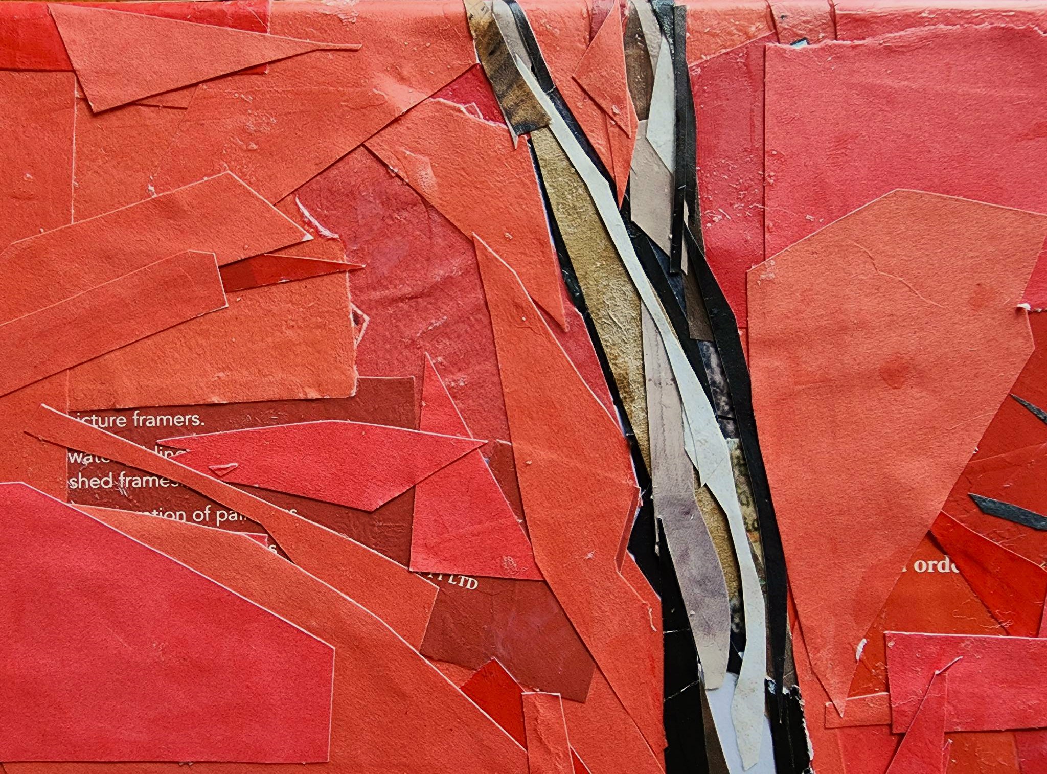 336741844 596355785851875 4228337229739412763 N