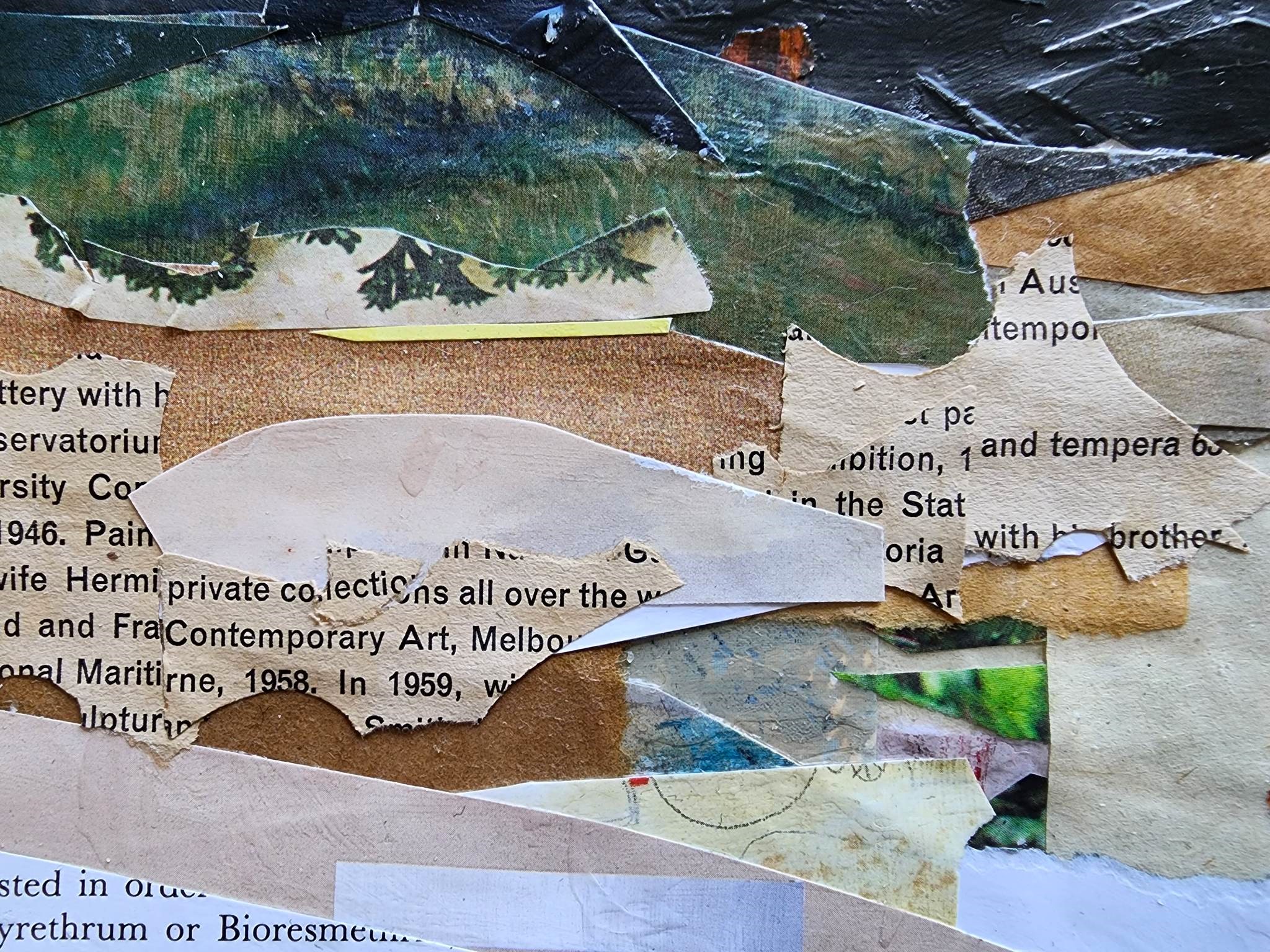 337309357 918719026108489 1119056770031842652 N