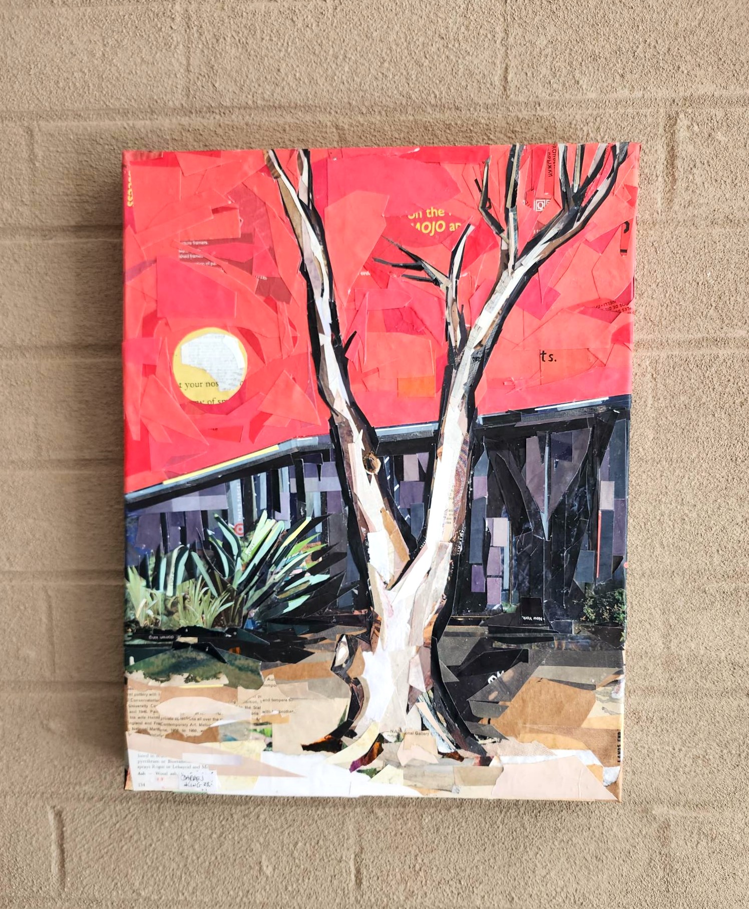 337625517 1310969989803102 2092145205372701703 N