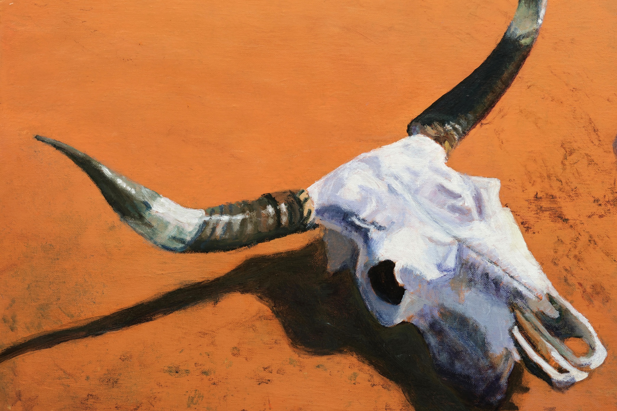 Desert Showdown Detail 3