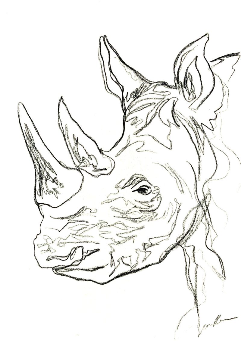 Rhinoceros Spirit