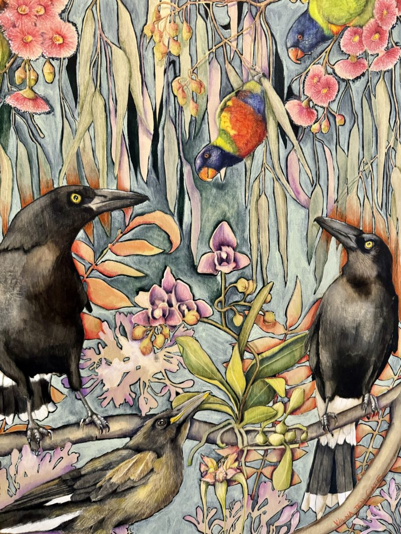 Currawongs and Swainson’s Lorikeets