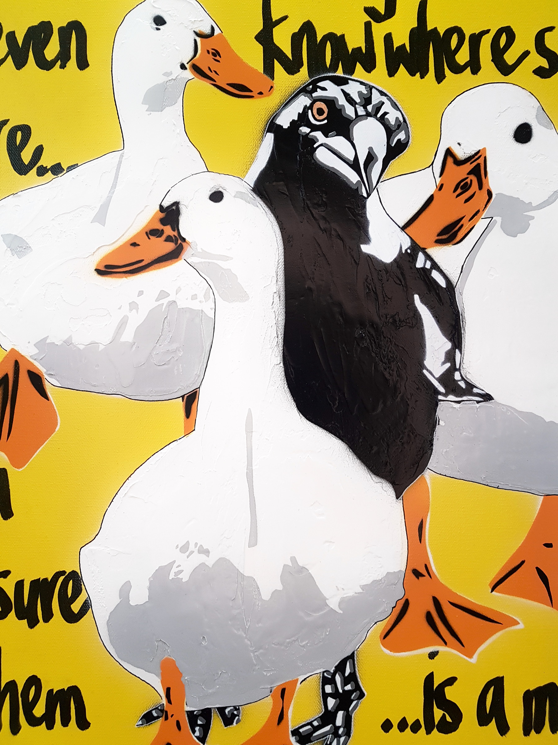 Ducks In A Row! Pop Art Deborah Lang Art Urban Canvas 3