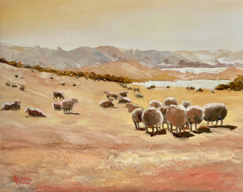 Director Conference at Hill