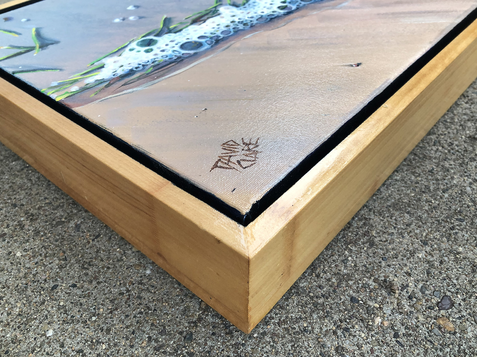 Bribie Shoreline With Leaf Corner Lr