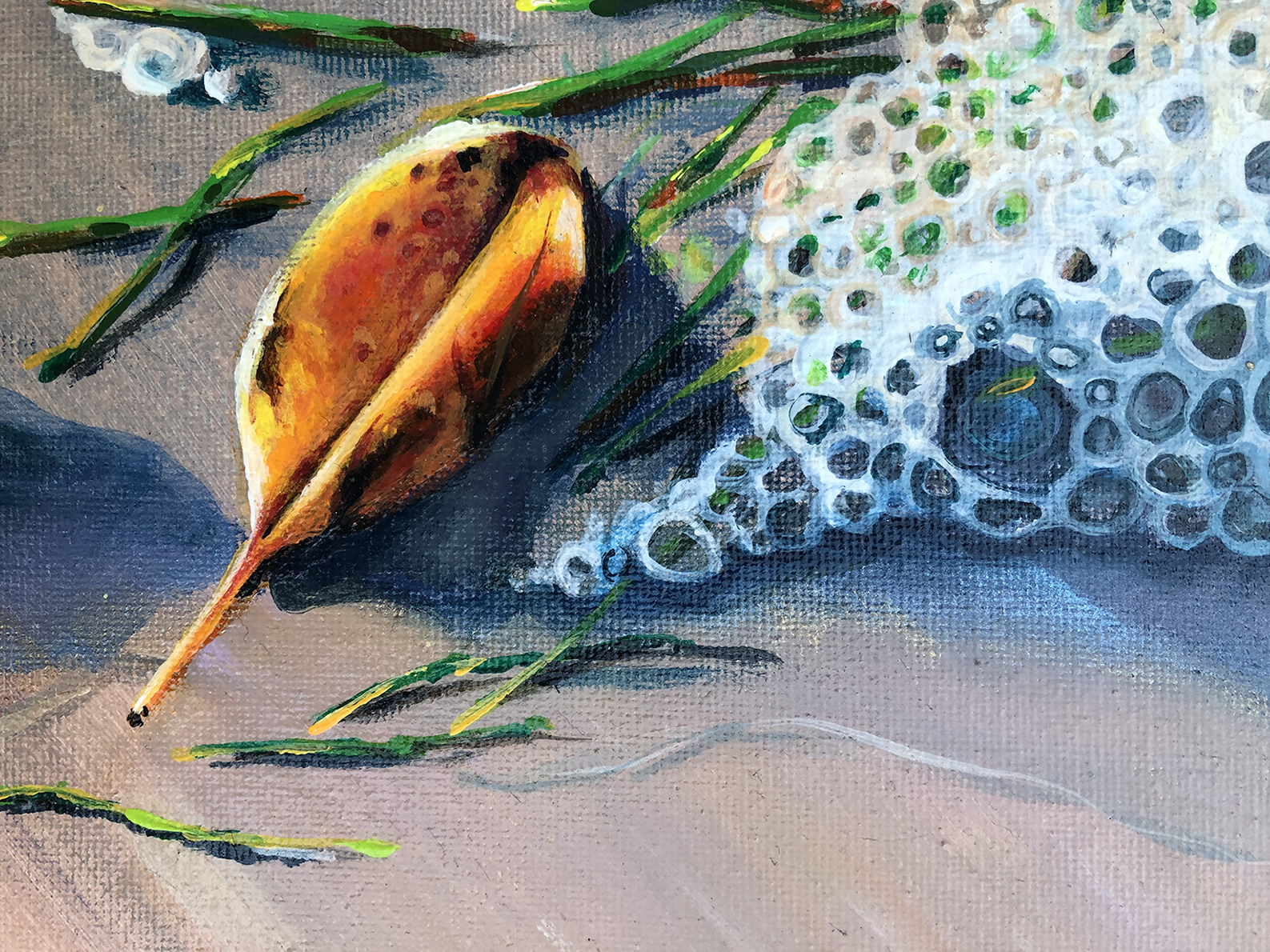 Bribie Shoreline With Leaf Close Lr