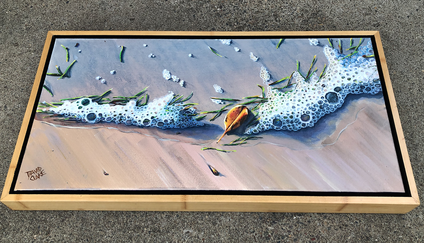 Bribie Shoreline With Leaf Bottom Lr