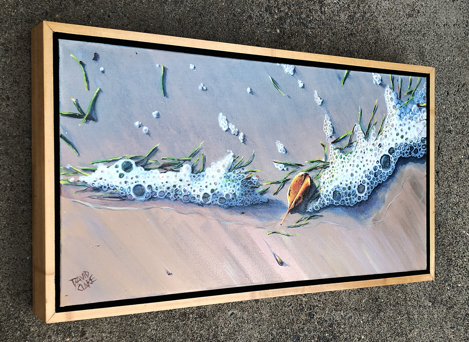 Bribie Shoreline With Leaf Ls Lr