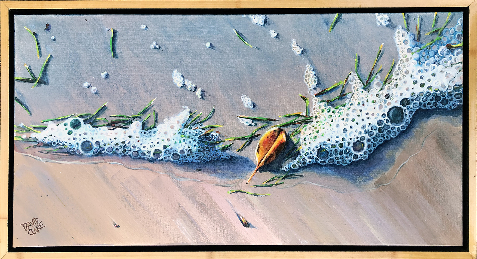 Bribie Shoreline With Leaf In Frame Cropped Lr