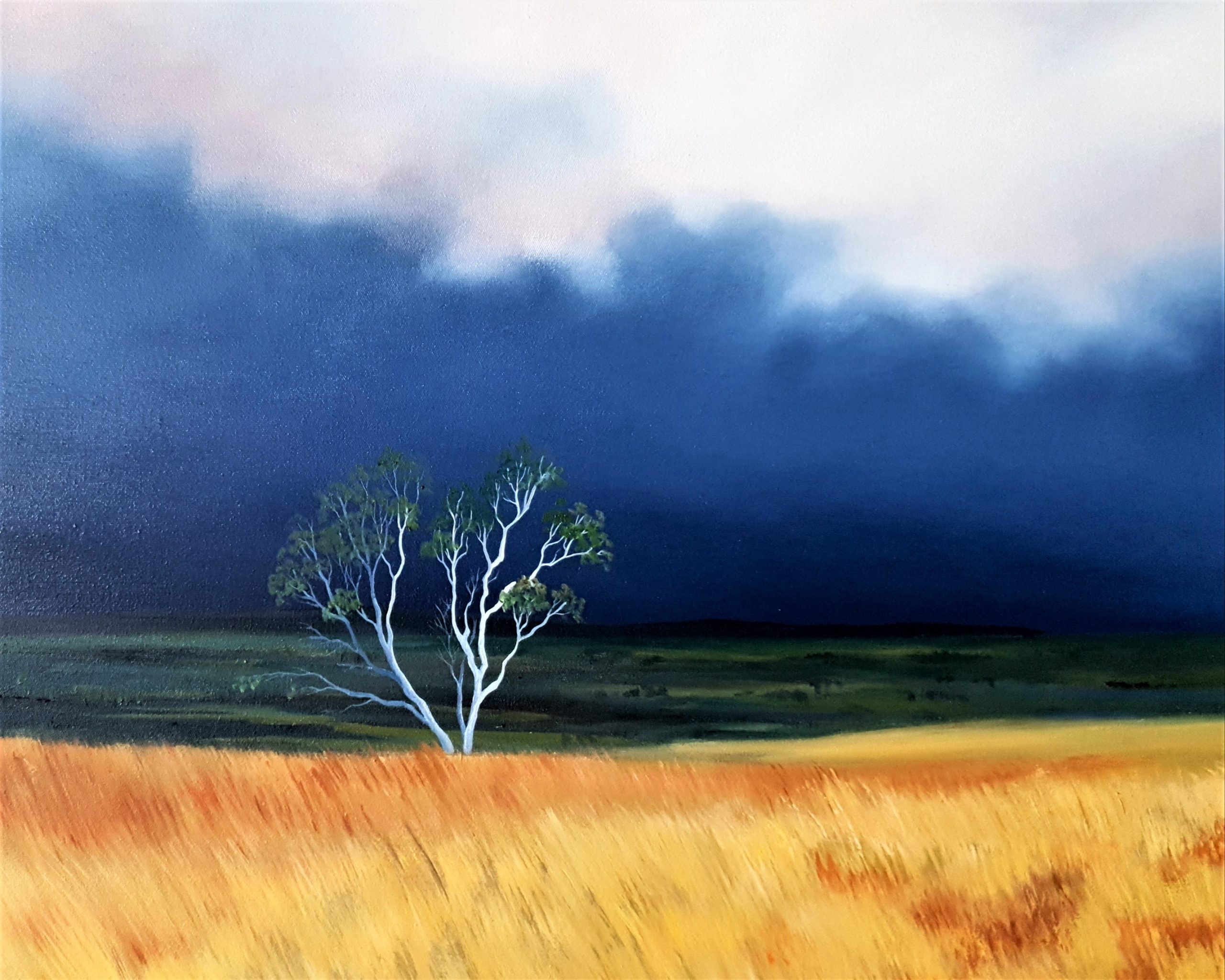 The Silence Of The Earth Lucinda Leveille Art 3 (2)