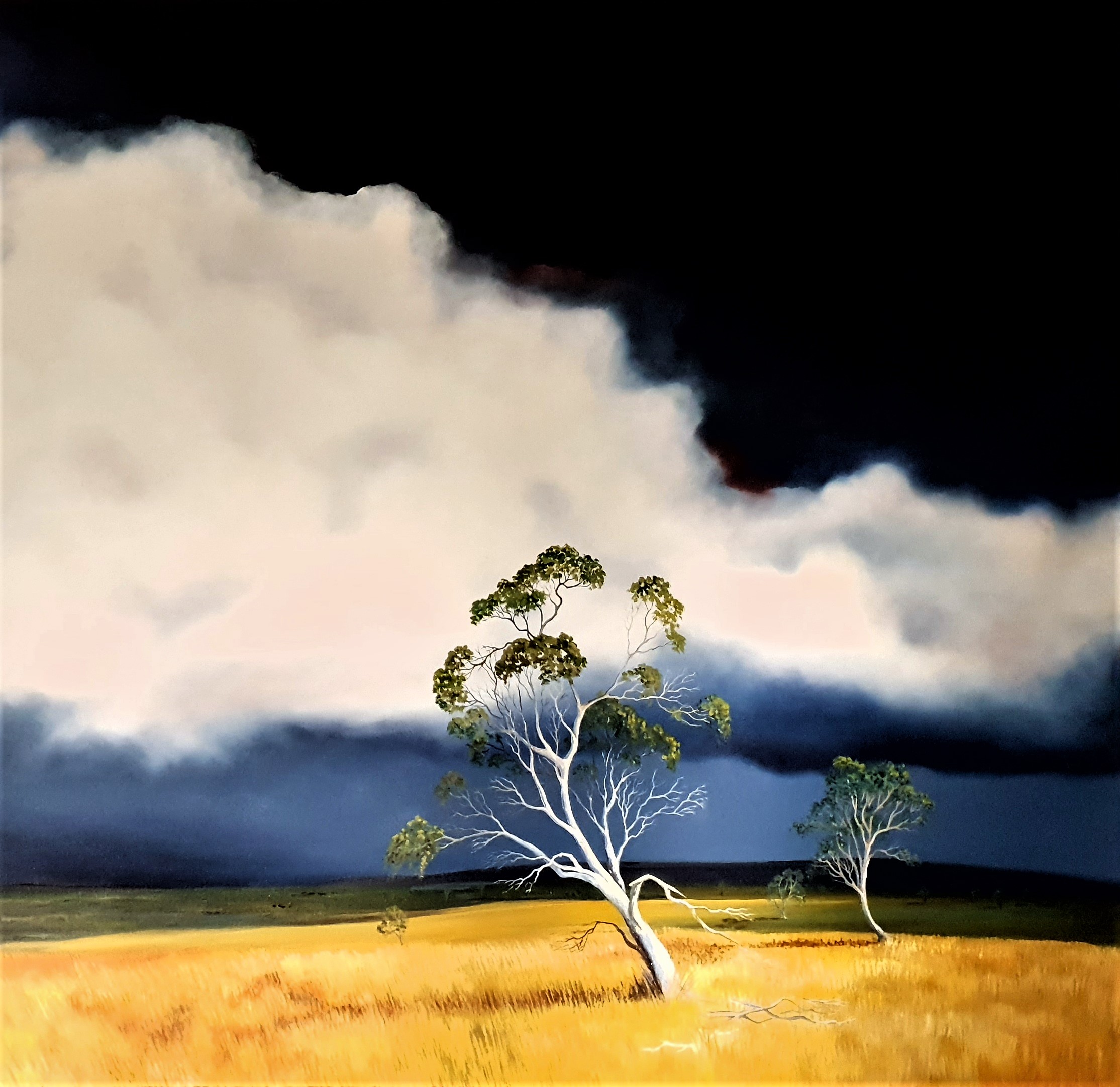 The Silence Of The Earth Lucinda Leveille Art 2