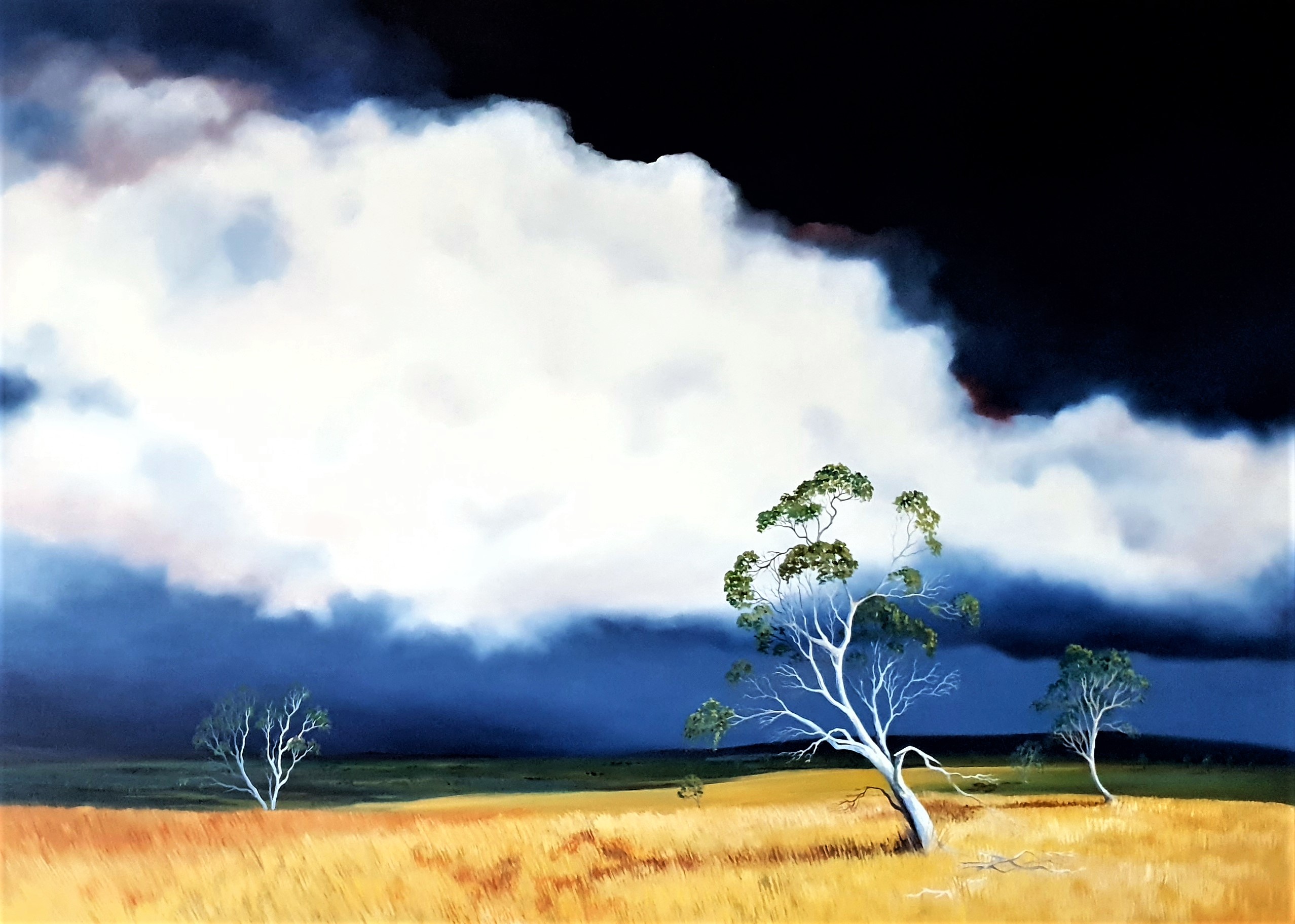 The Silence Of The Earth Lucinda Leveille Art