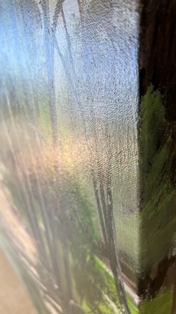 Morning Mist At The Billabong Edge