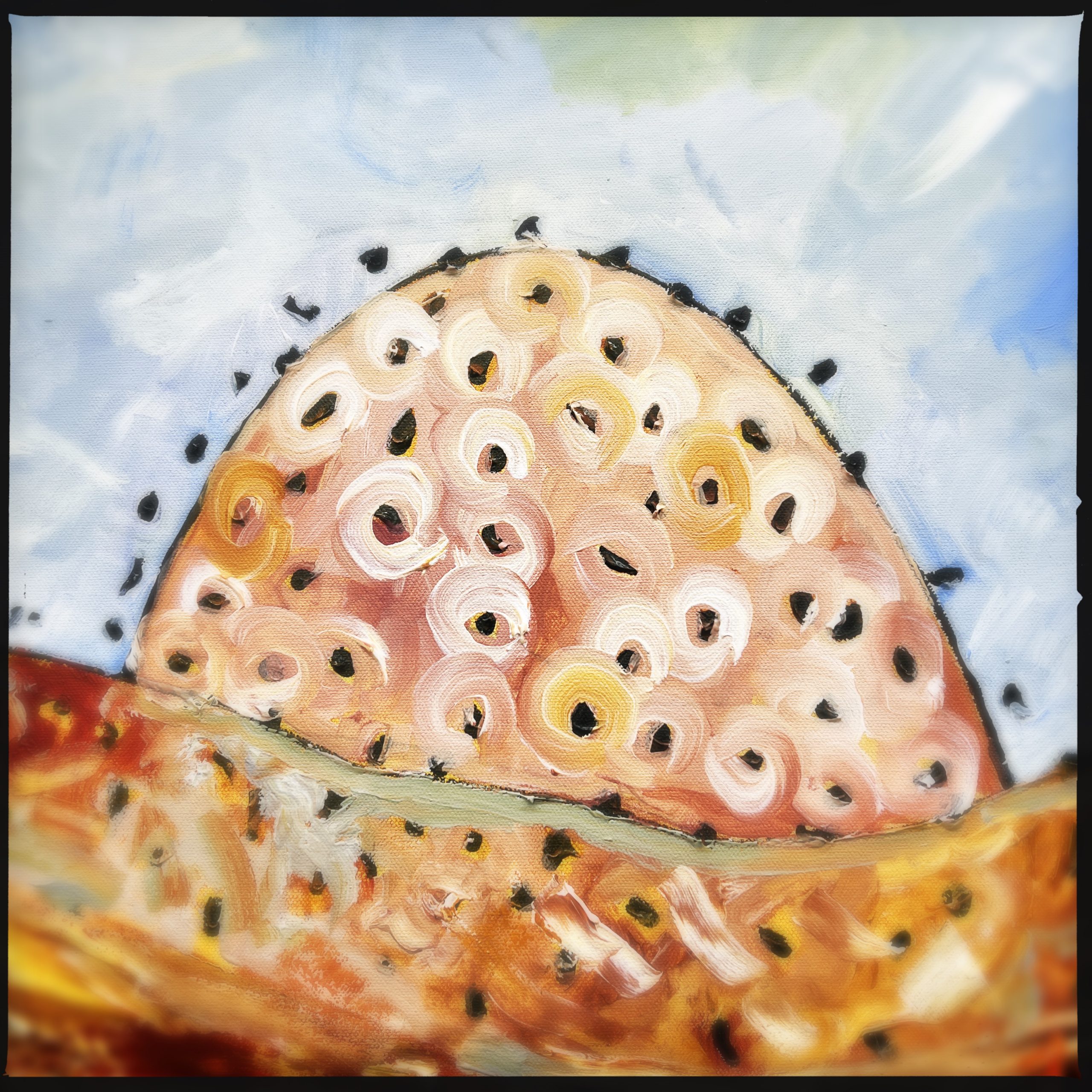 Hipstamaticphoto 709862775.153865