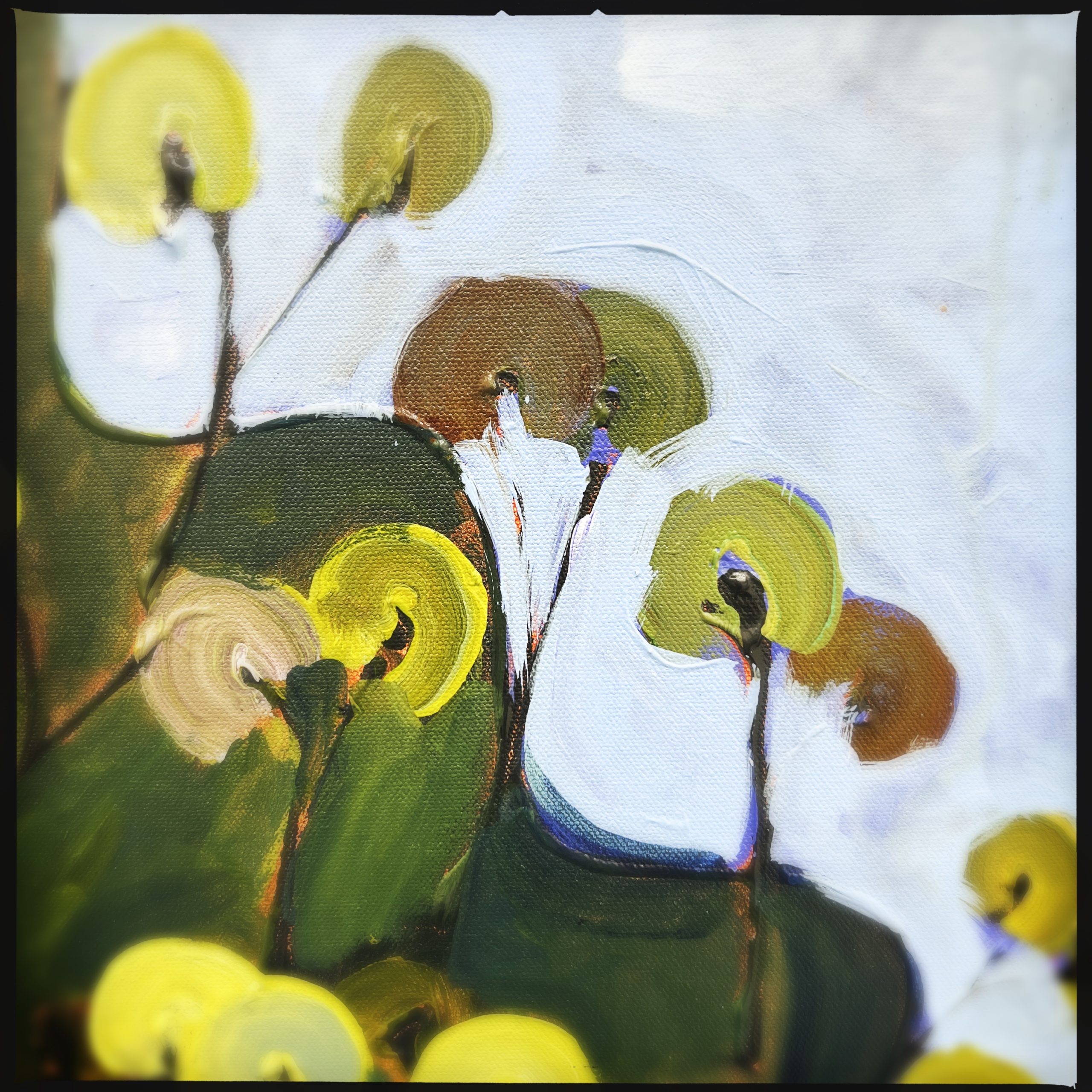 Hipstamaticphoto 704591426.499061