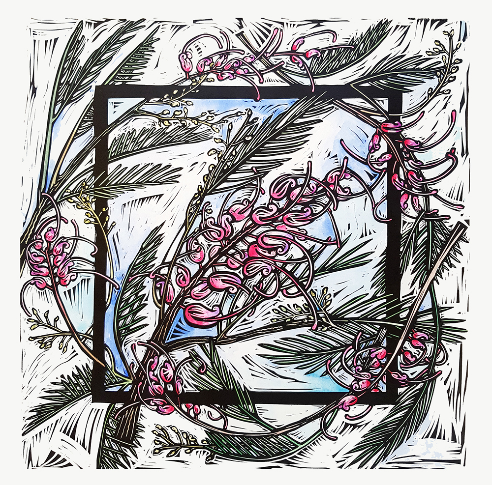 Grevillea Plurijuga By Nicola Cowie