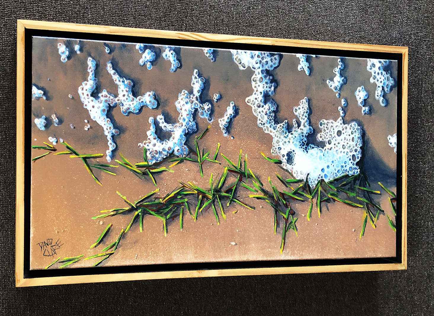 Bribie Shoreline Ls Lr