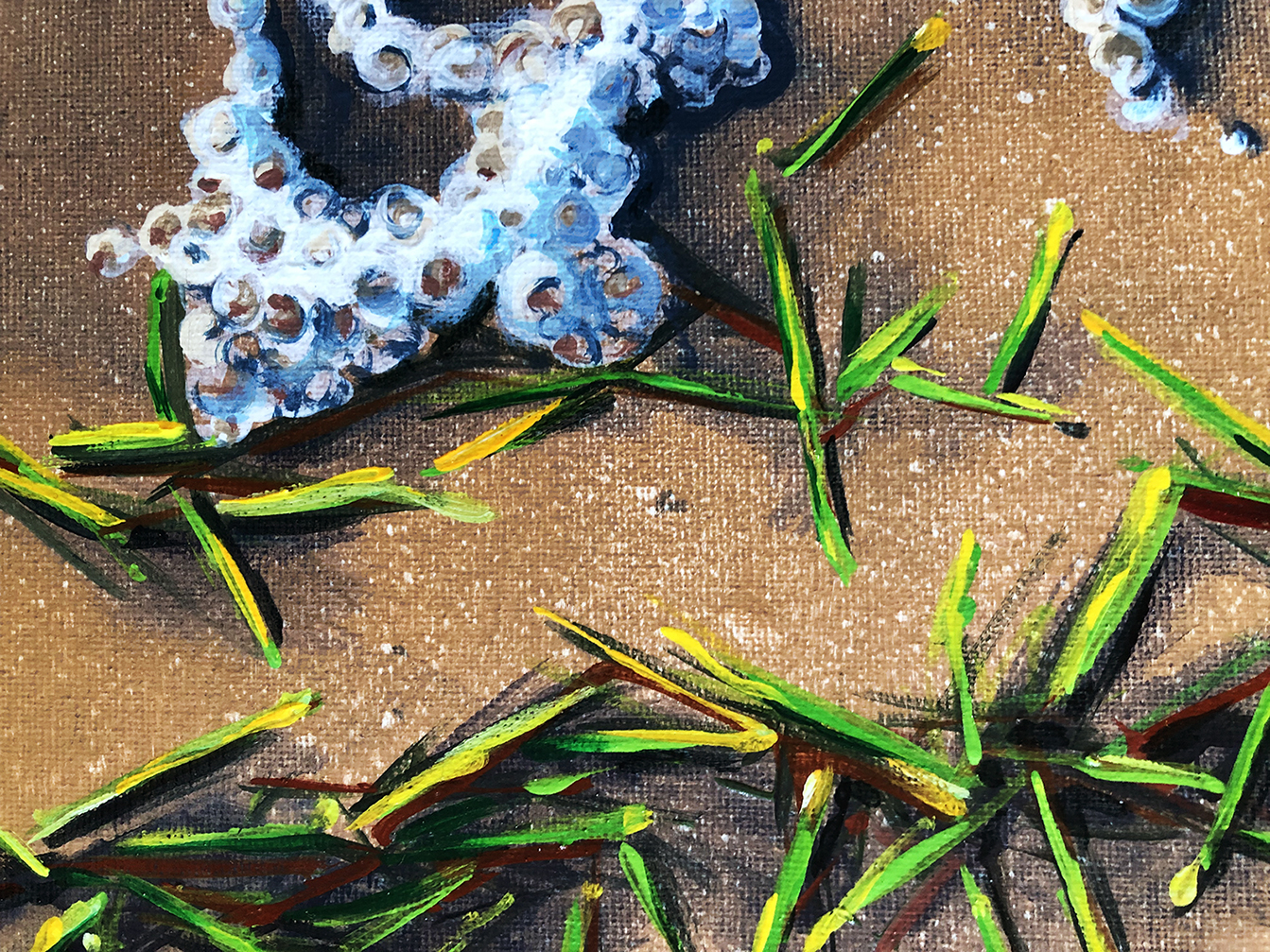 Bribie Shoreline Close Lr