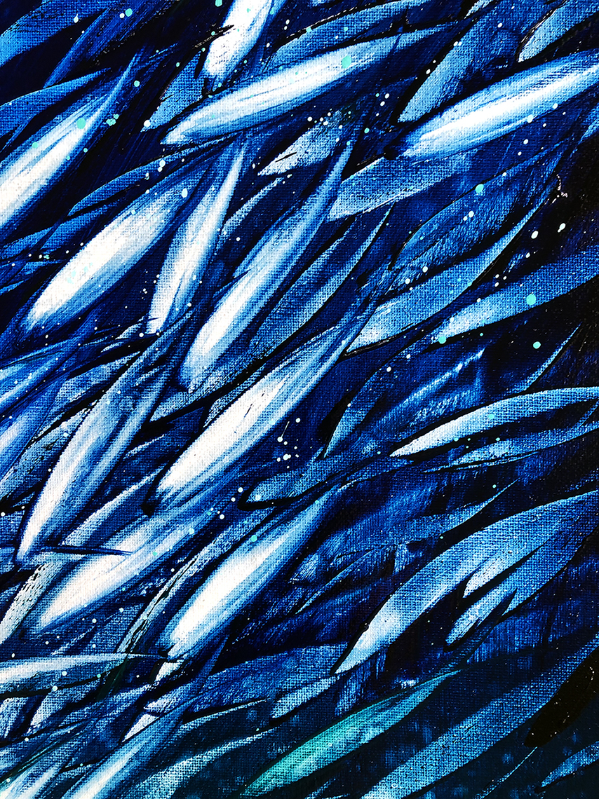 School Of Fish Close Lr