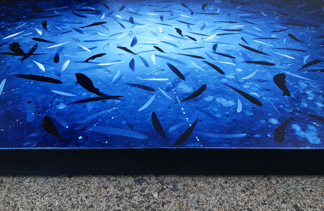 Plenty O Fish Edge Lr