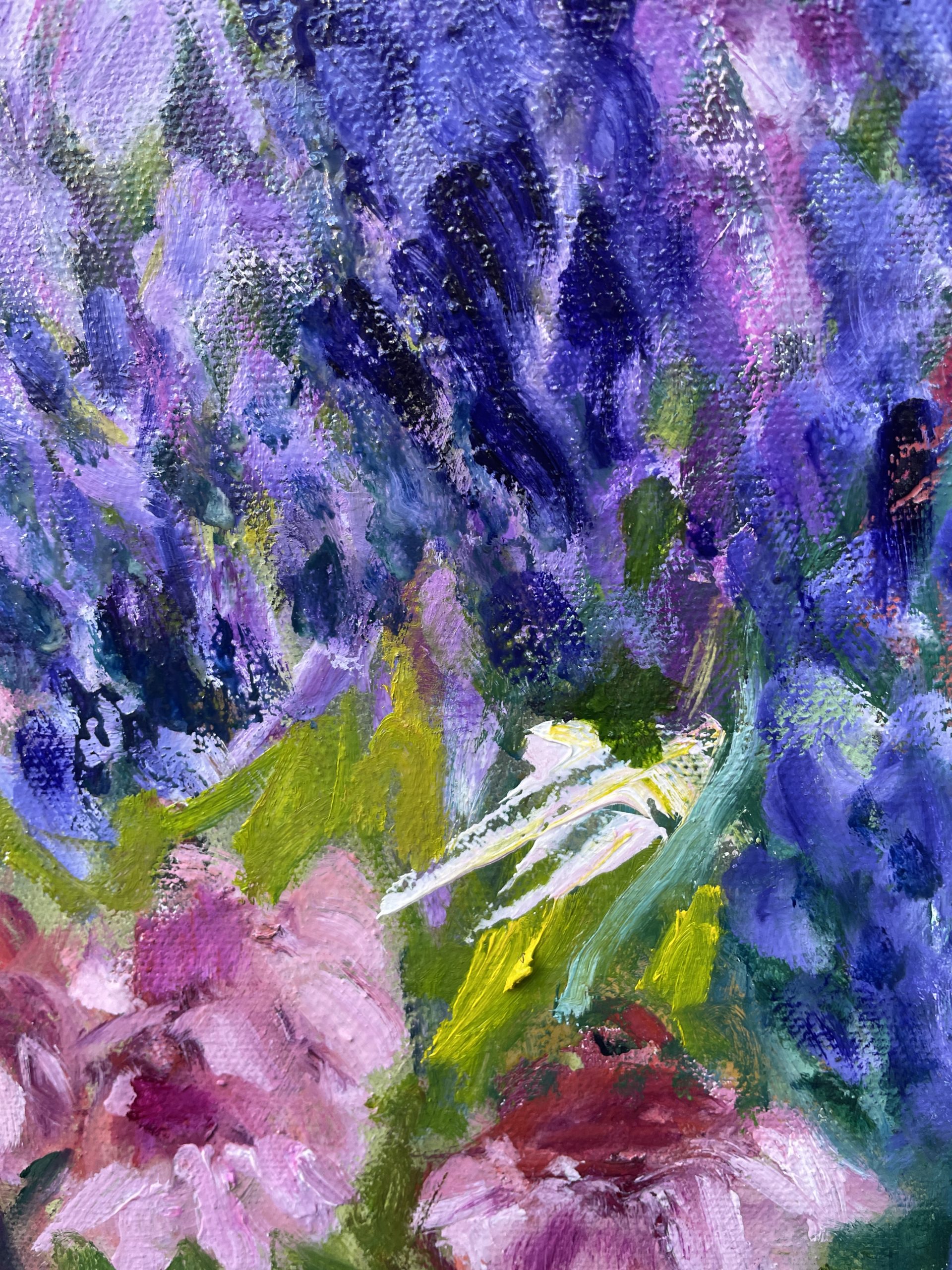 The Character Of Echinacea Closeup 2