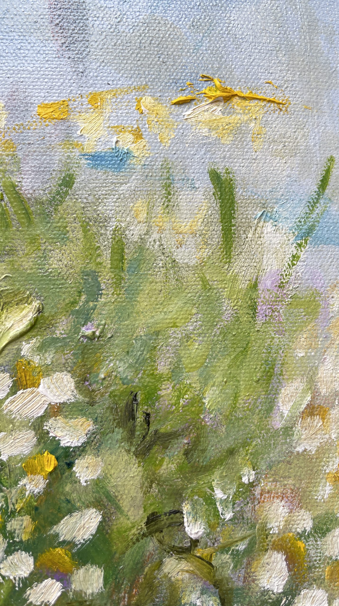 The Character Of Echinacea Closeup 4