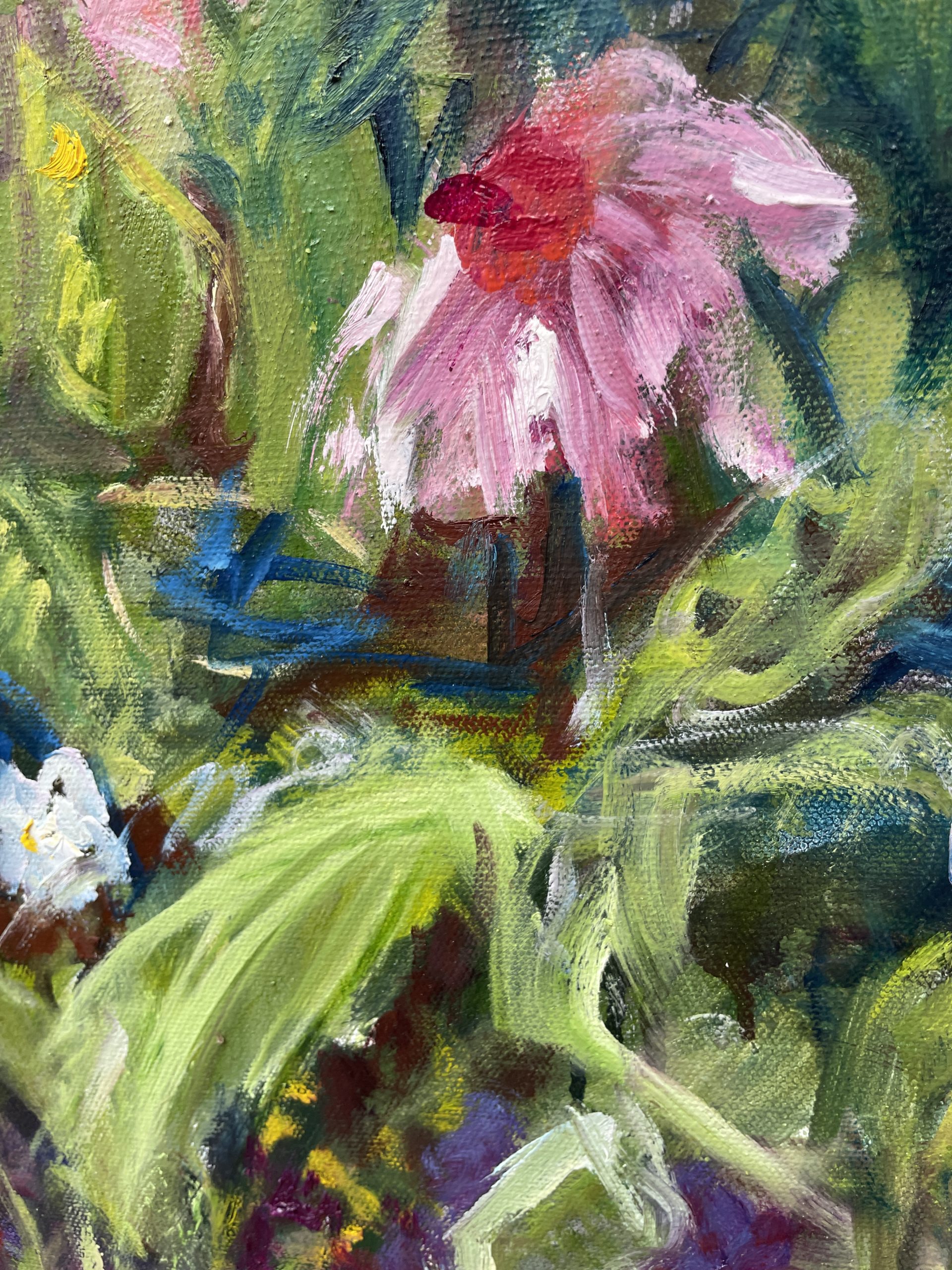 The Ocharacter Of Echinacea Closeup 3