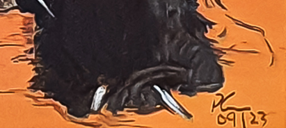 Outback Landscapes Desert Gorge 1