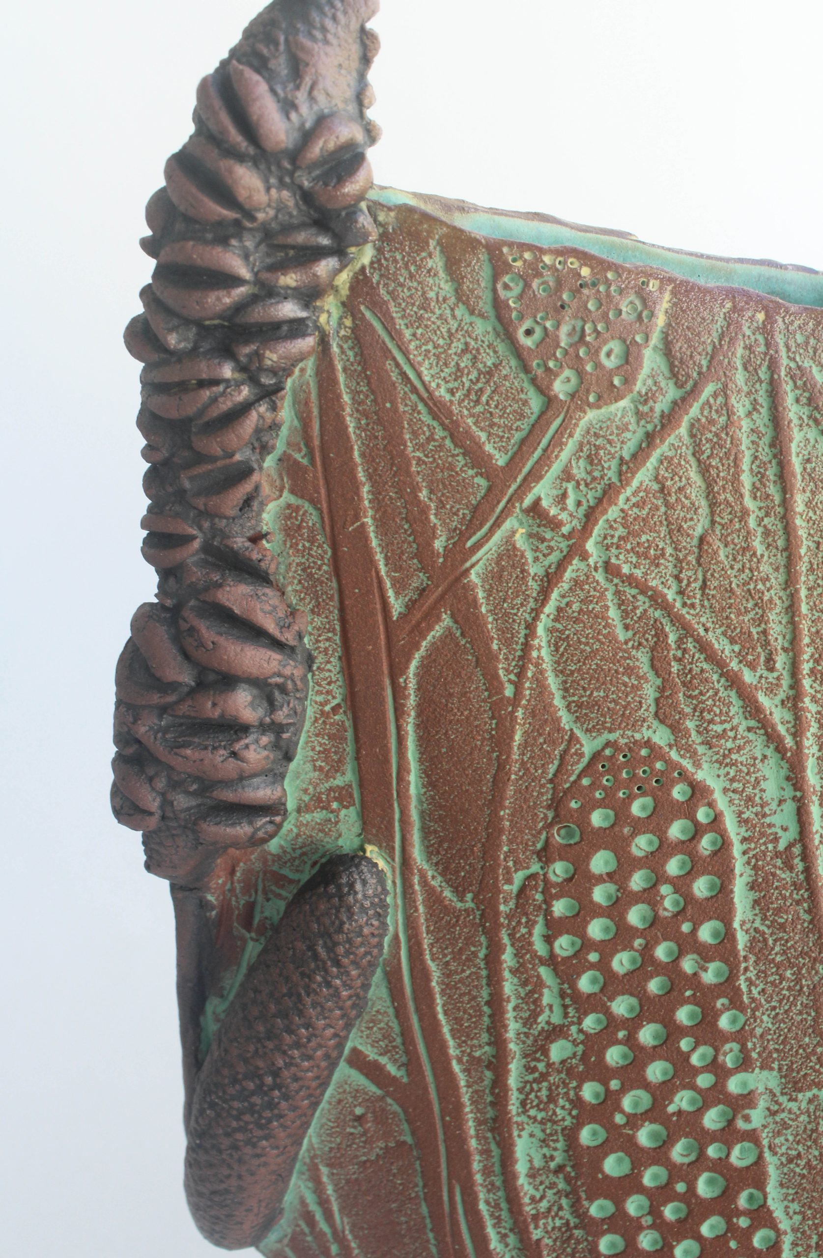 Banksia Sketch 3 Carol Forster Art Lovers Australia