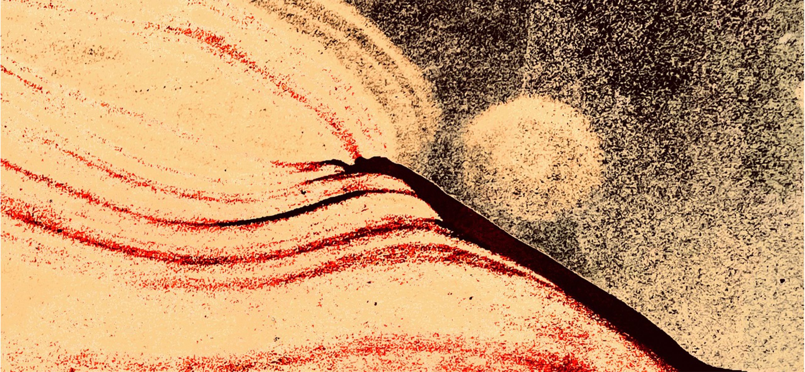 Her 100 X 216.23 39.37in X 85.12in Copy