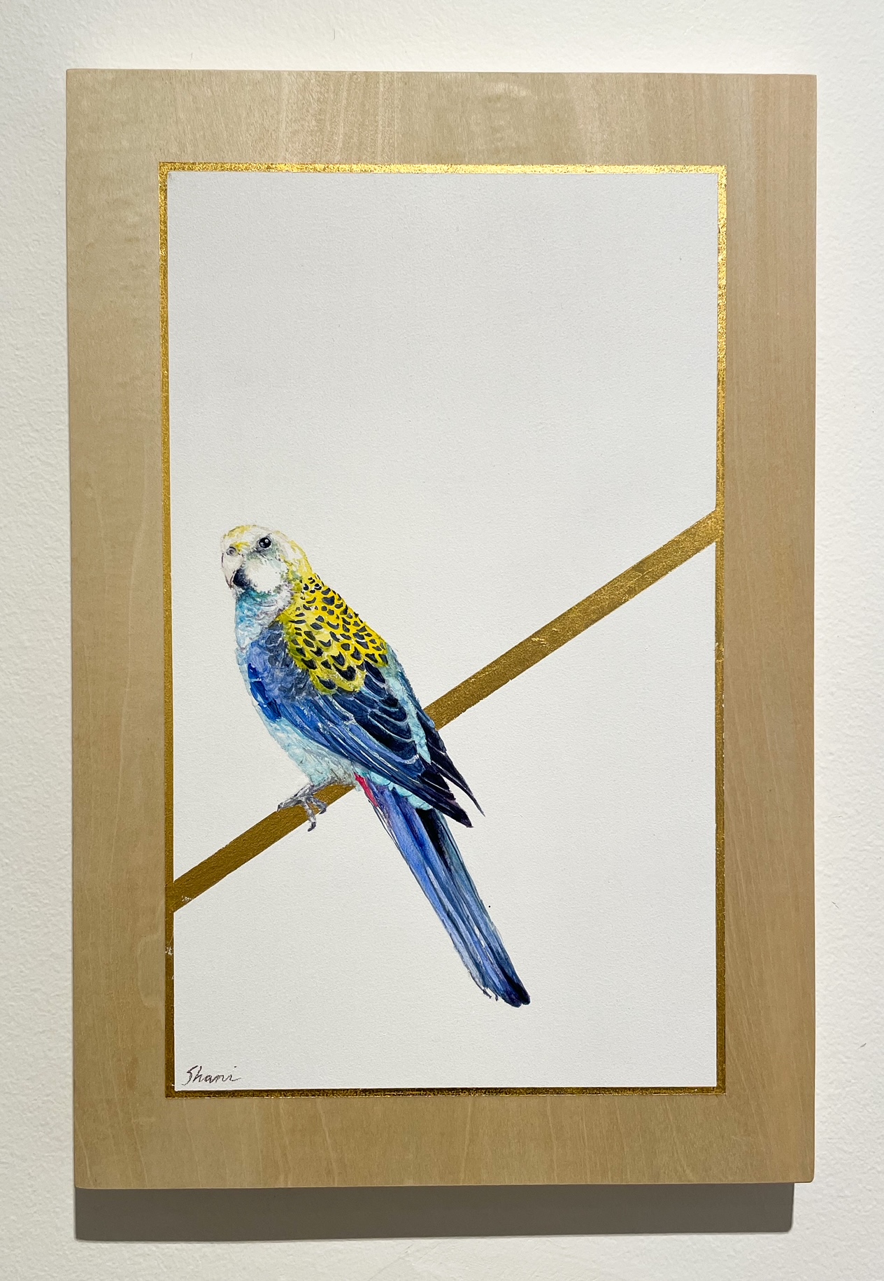 Pale-faced Rosella - Art Lovers Australia