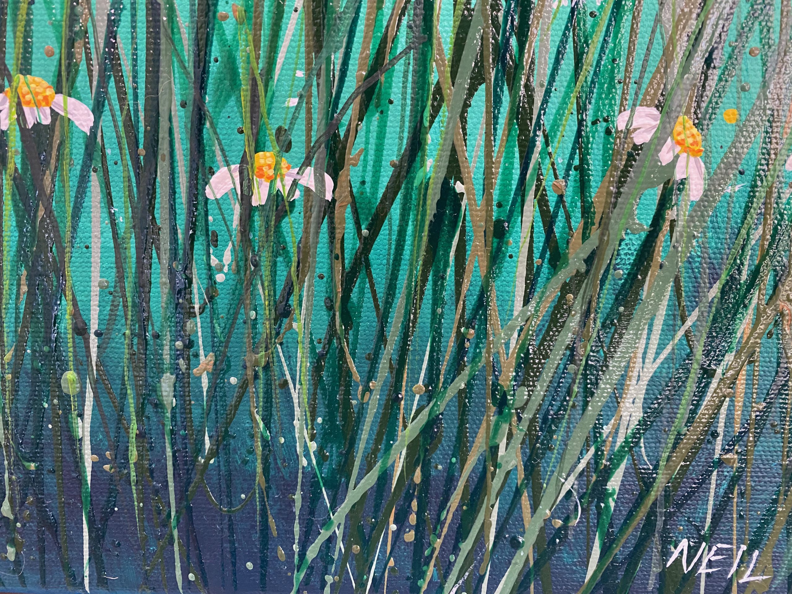 Perfect Mr Parrot Kim Neil Sign