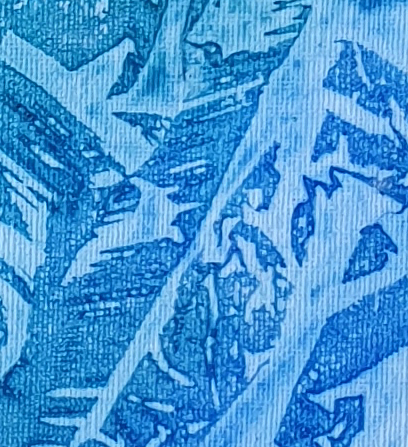 Red Tailed Black Cockatoo Det4