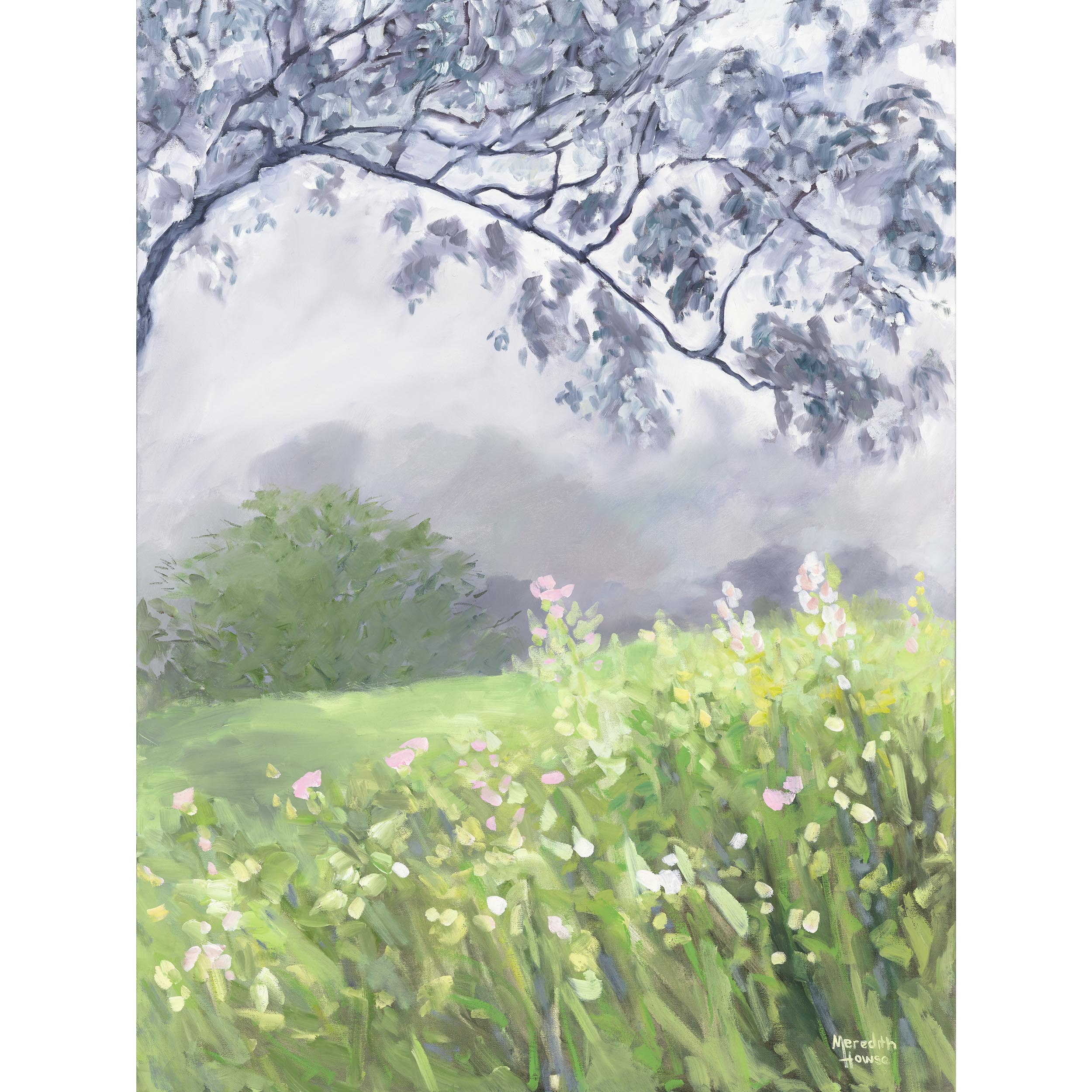 Meredith Howse 131 Field Of Many 2500px Square