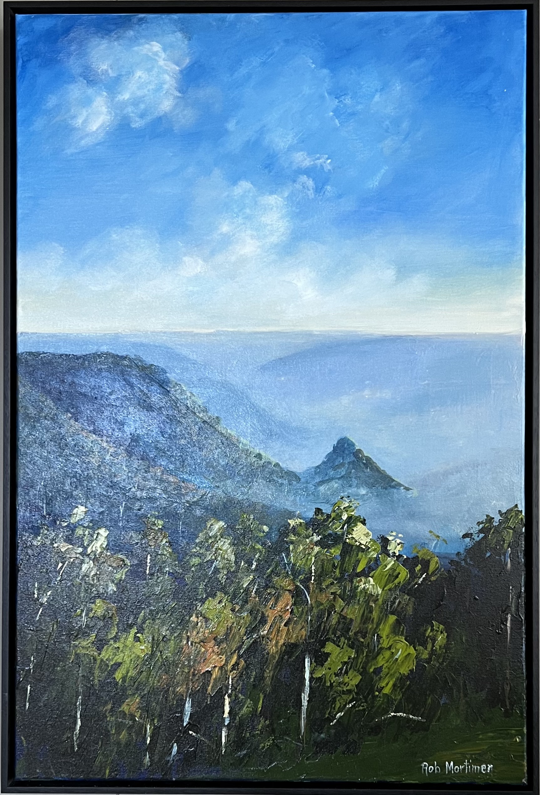 A View From Binna Burra