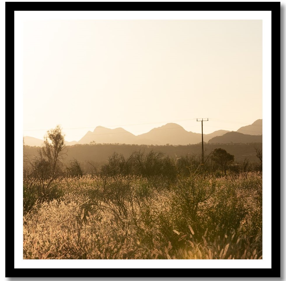 Grass Plains Outback Australia 4 Black Nikart 1024x1024