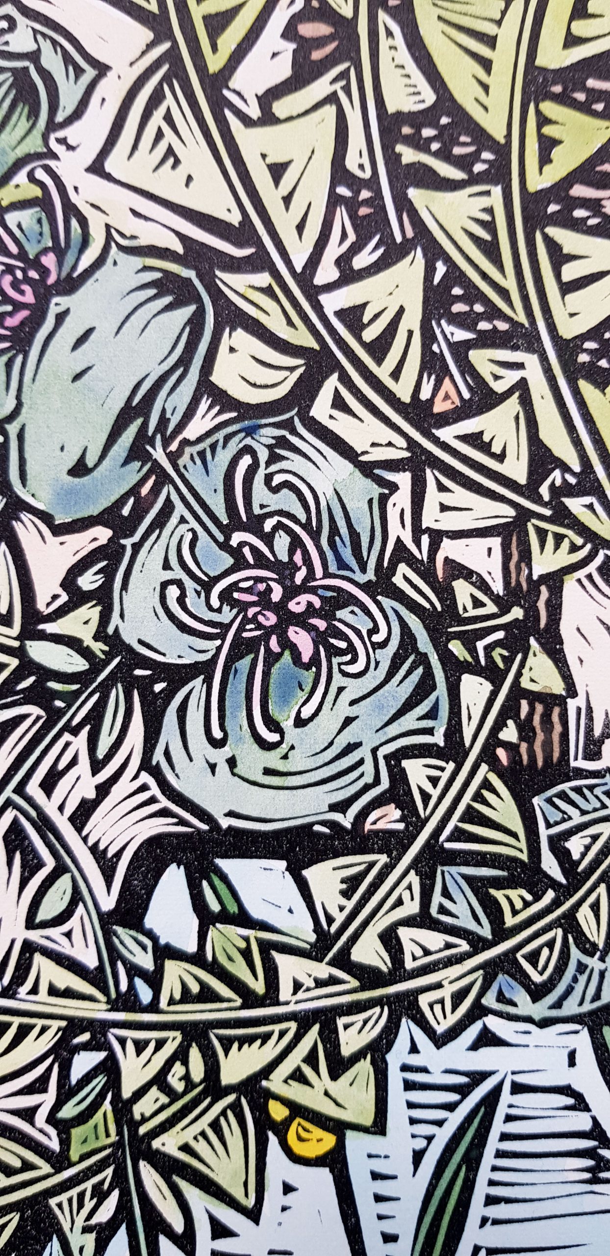 Wattle Vase 5 Of 5 By Nicola Cowie Watercolour