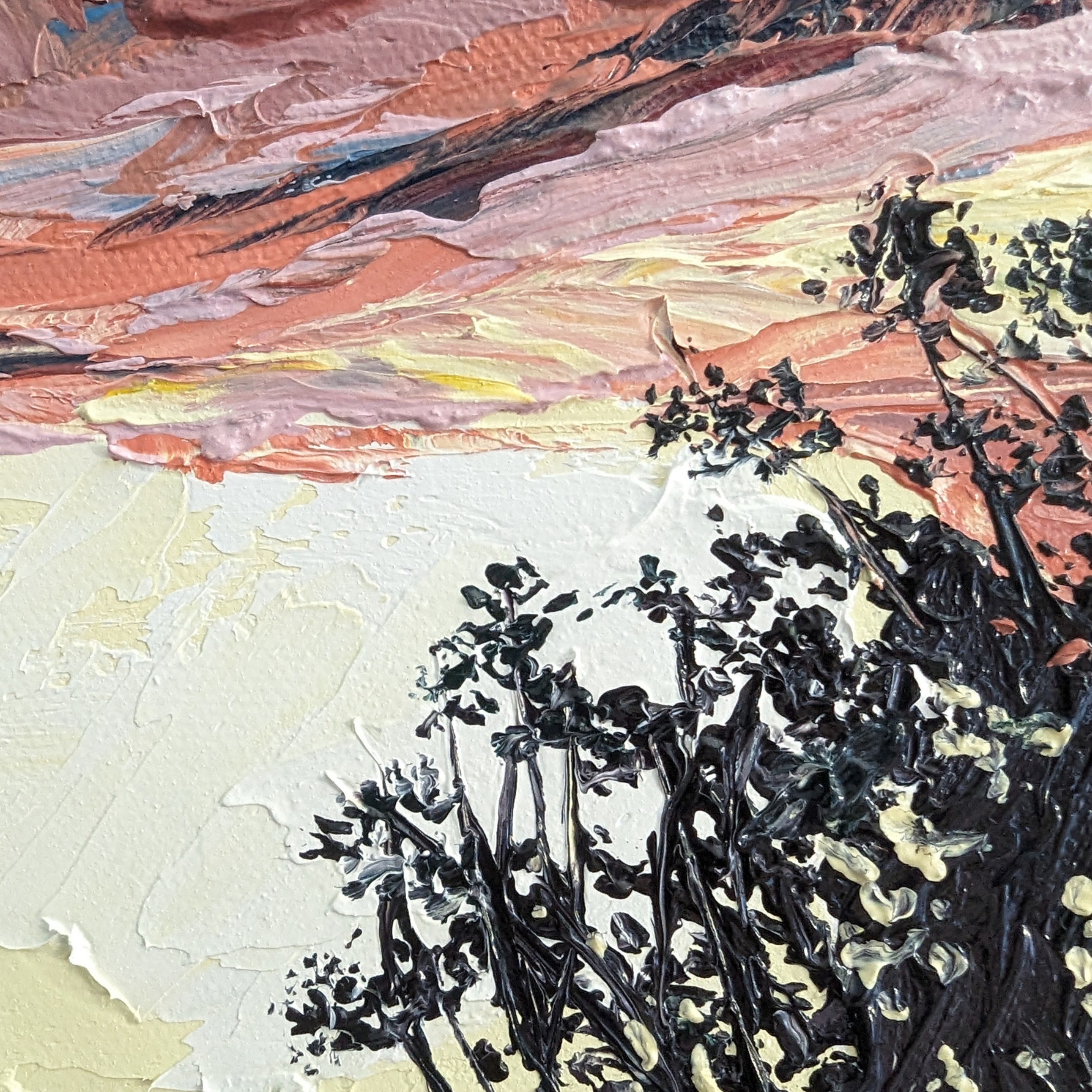 Sam Askin Backyard Sunset 2 Eucalypt