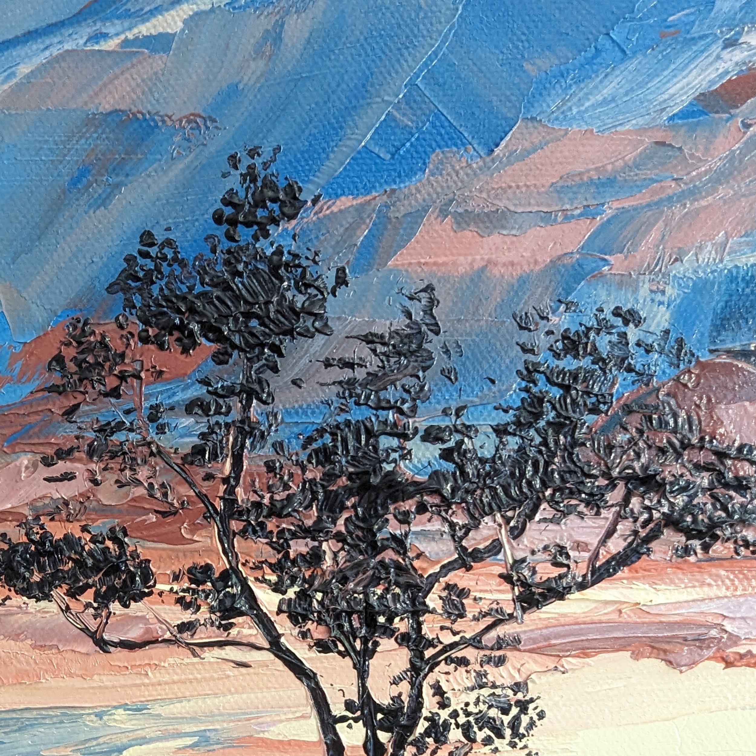 Sam Askin Backyard Sunset 2 Tree Silhouette