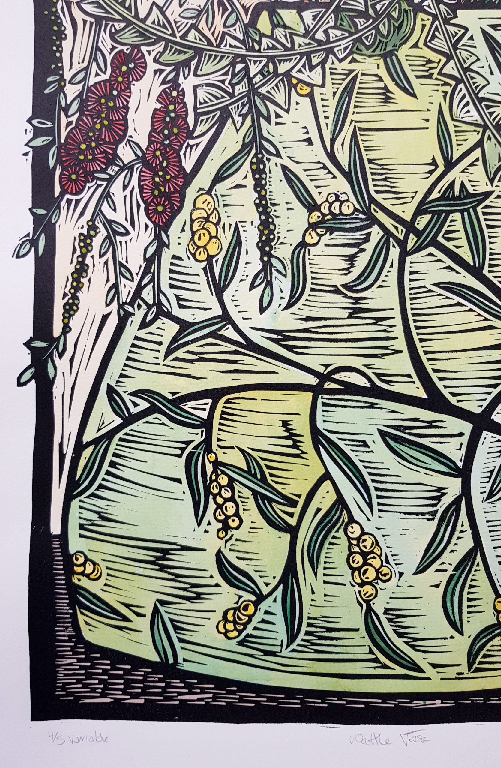 Wattle Vase 4 Of 5 By Nicola Cowie Linocut