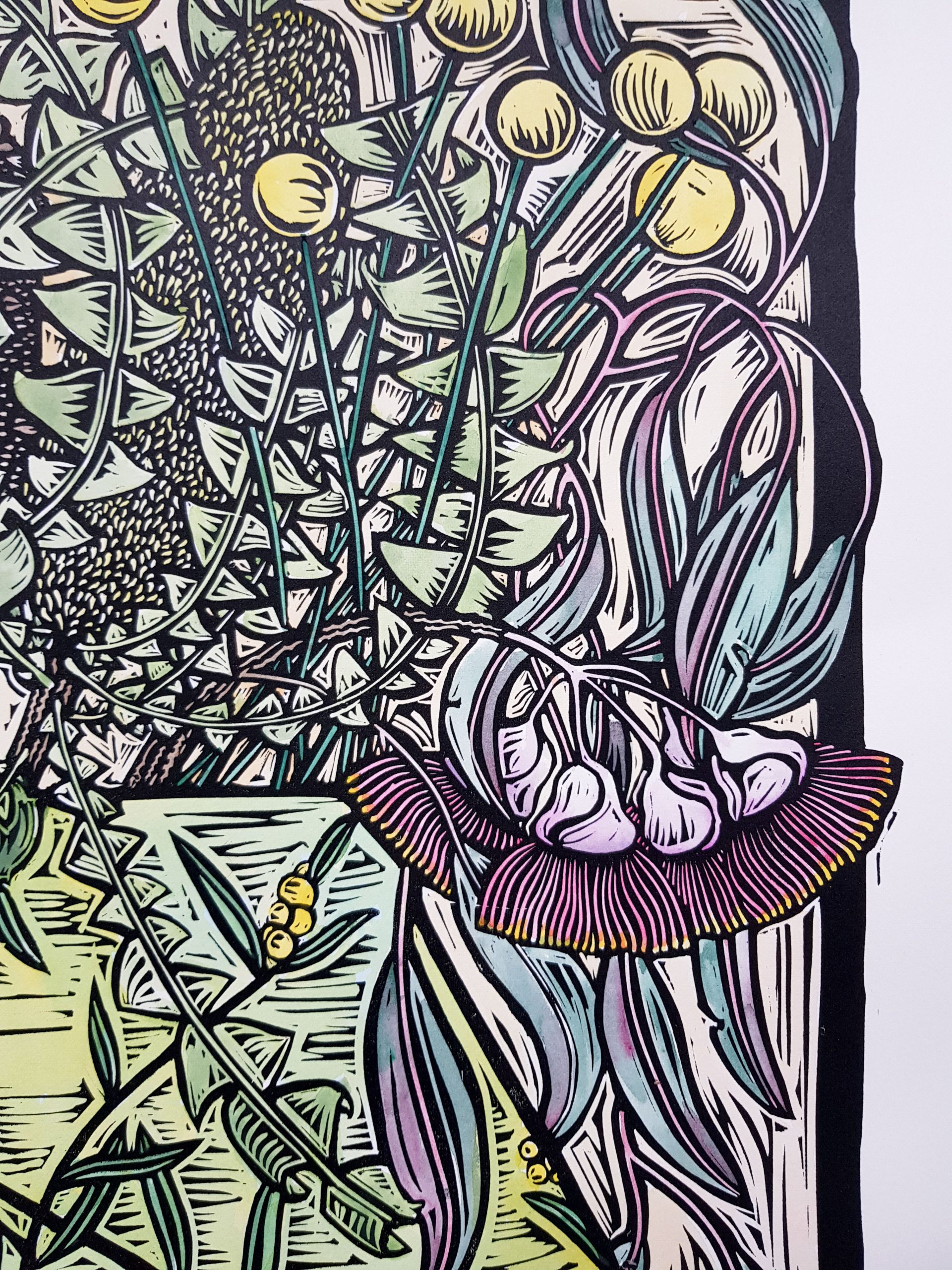 Wattle Vase 4 Of 5 By Nicola Cowie Gumflowers