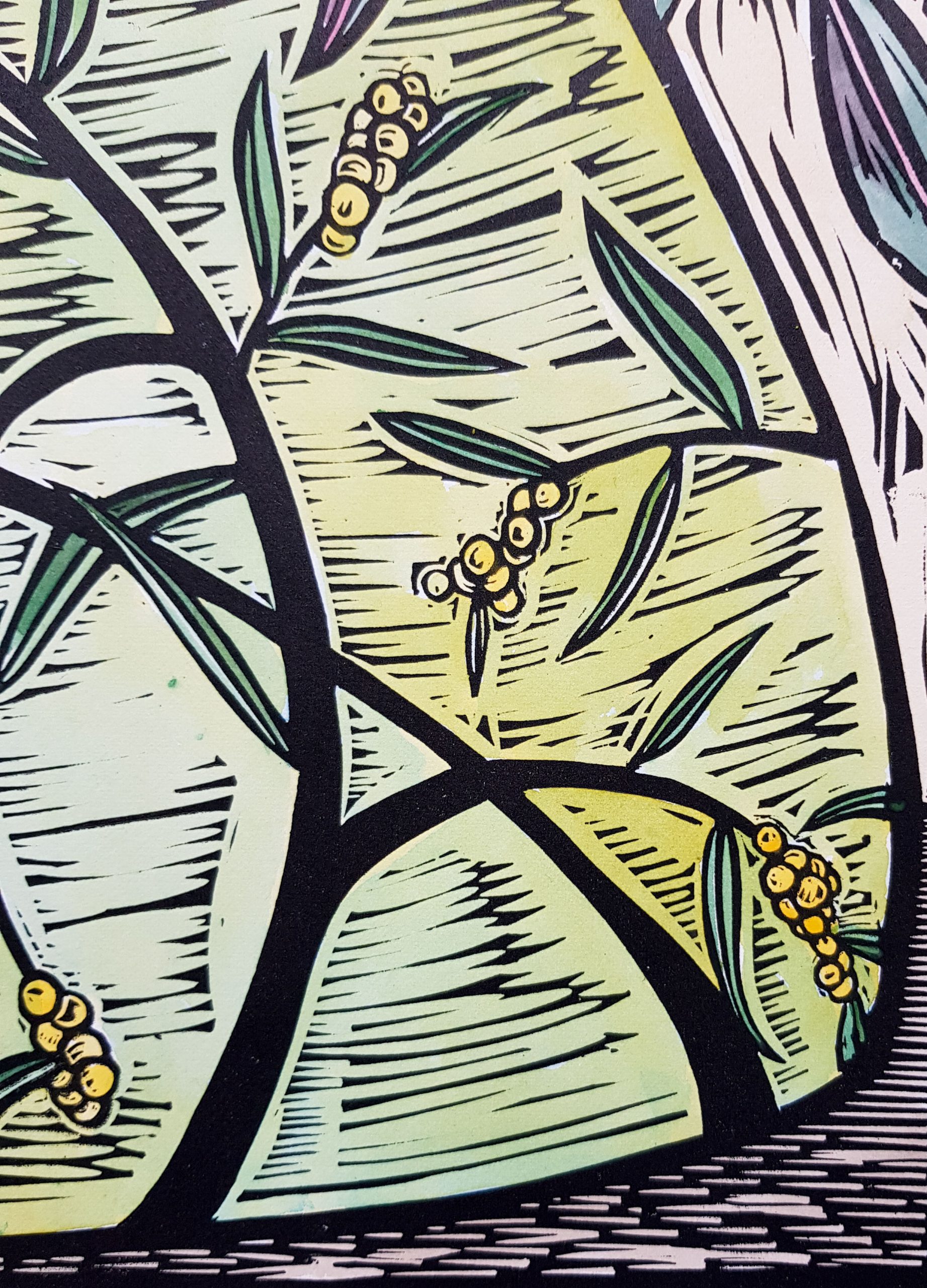 Wattle Vase 4 Of 5 By Nicola Cowie Watercolour