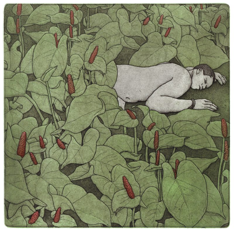 In The Garden 800x791 (3)