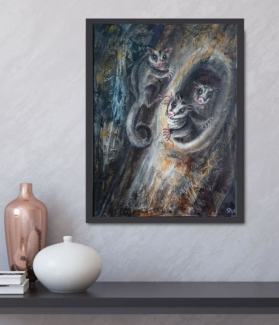 Sugar Gliders Insitu